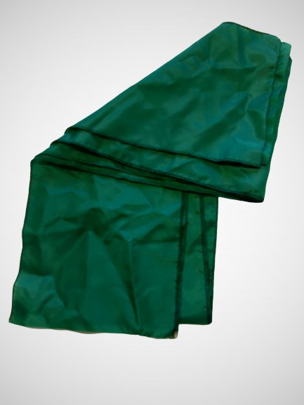 Ceinture large verte