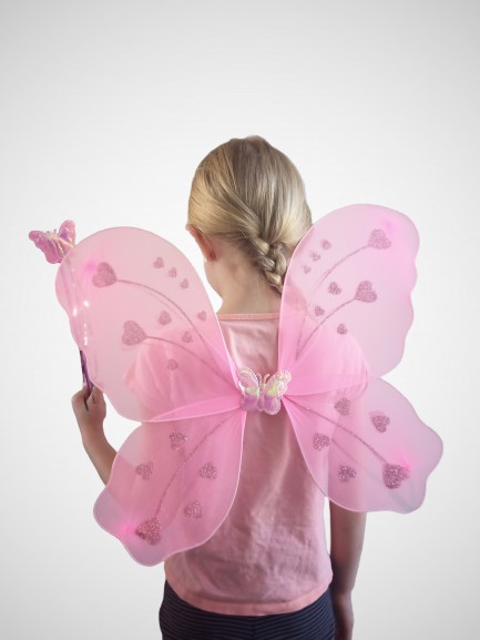 Ailes + baguette fée